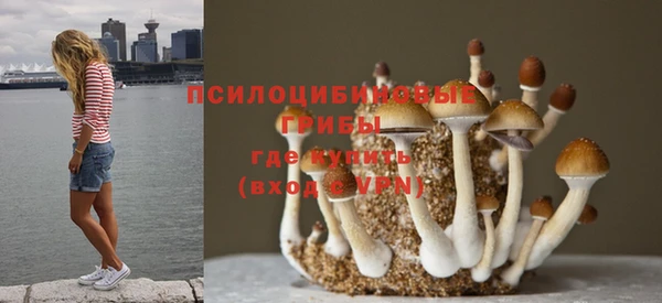а пвп мука Абинск