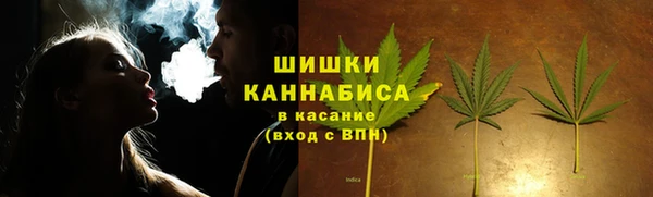 шишки Пересвет