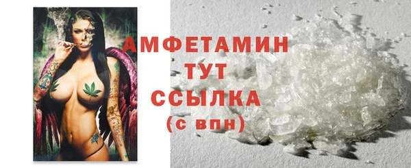 шишки Пересвет