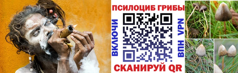 Галлюциногенные грибы Psilocybine cubensis  Нижняя Тура 